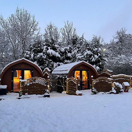 Conifer Cabins フォート・ウィリアム エクステリア 写真