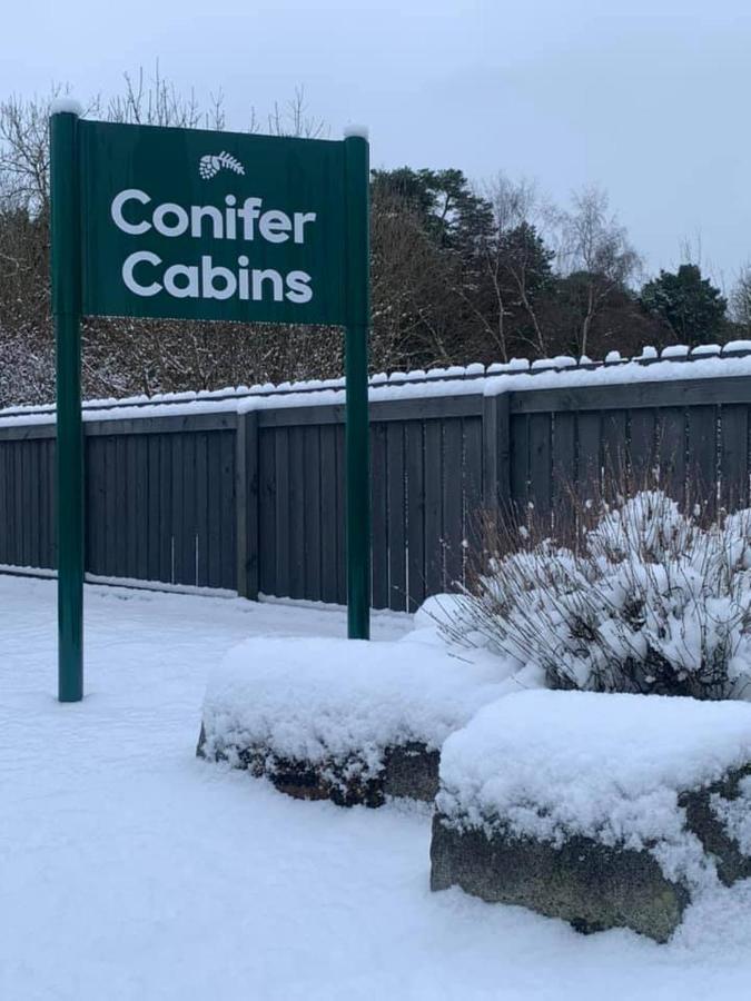 Conifer Cabins フォート・ウィリアム エクステリア 写真