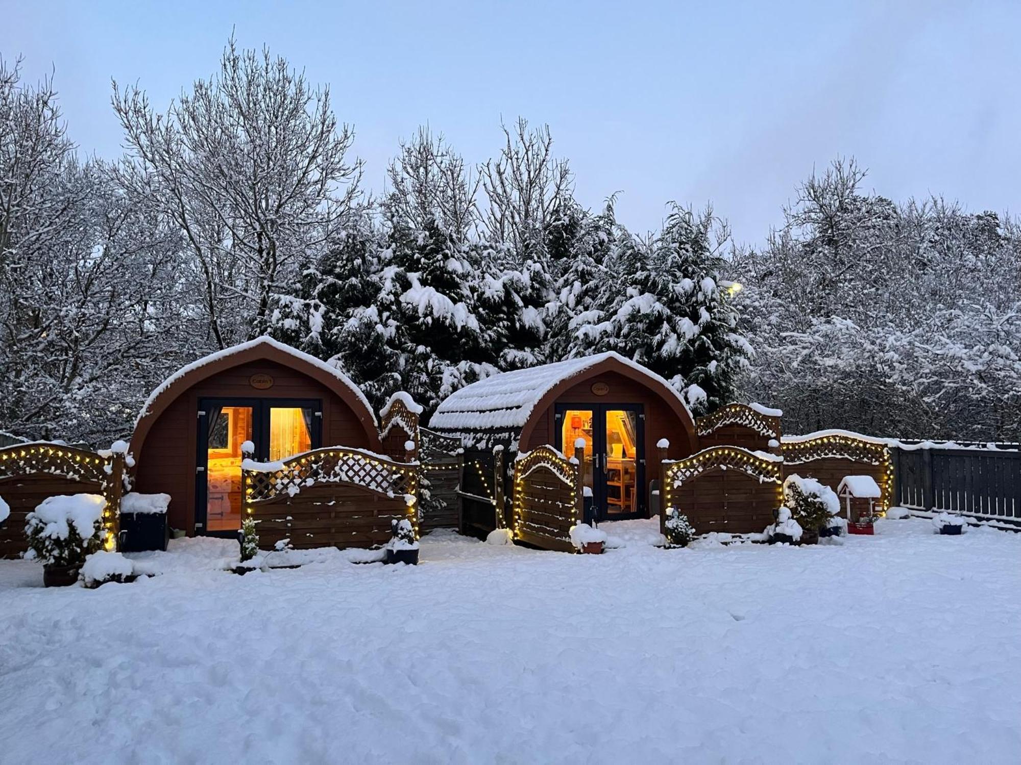 Conifer Cabins フォート・ウィリアム エクステリア 写真