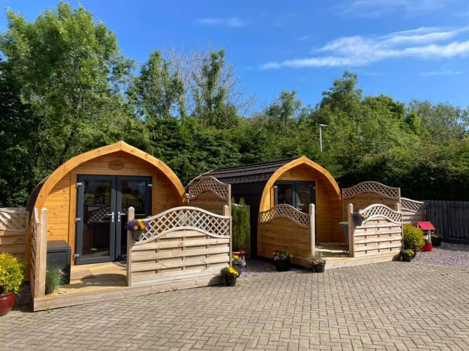 Conifer Cabins フォート・ウィリアム エクステリア 写真
